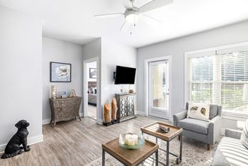 Spacious Living Room at The Ashley, South Carolina, 29407